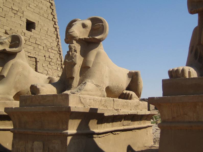 Egypt 2008 295.jpg